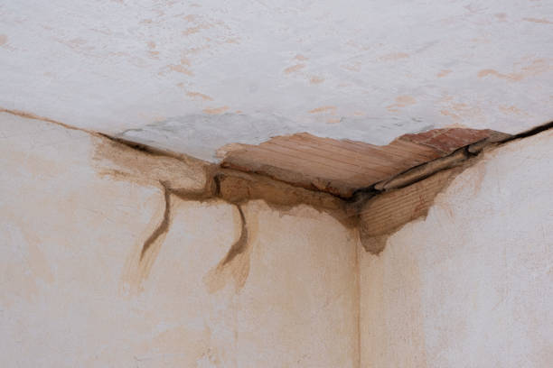 Best Water damage restoration near me  in Suffield Depot, CT