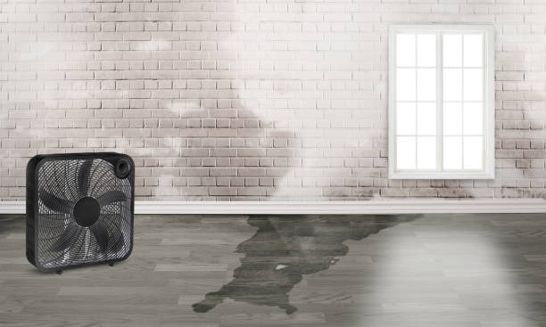 Best Residential water damage restoration  in Suffield Depot, CT