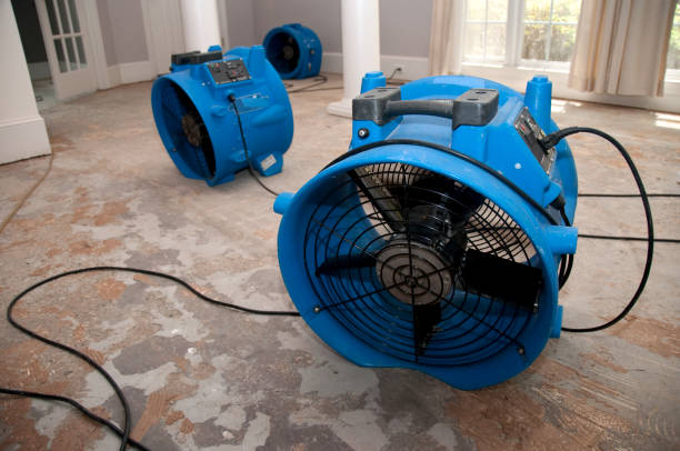 Best 24/7 water damage repair  in Suffield Depot, CT
