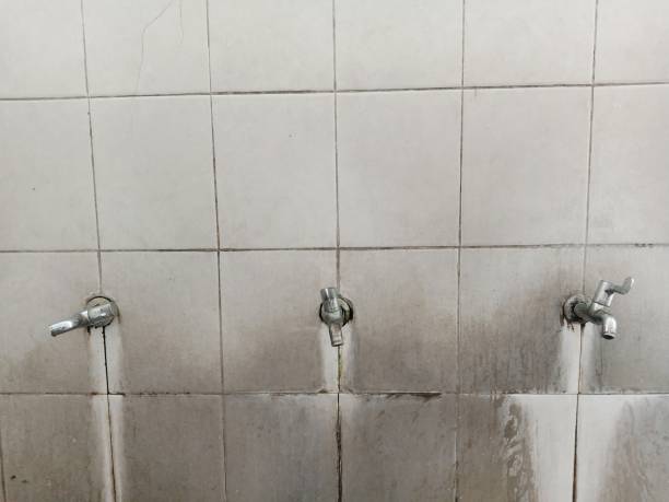 Best Commercial water damage restoration  in Suffield Depot, CT