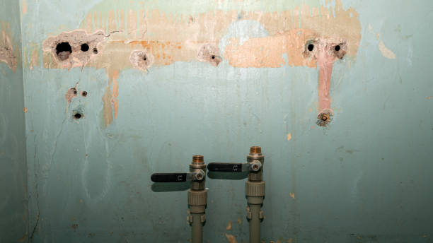 Best Mold removal after water damage  in Suffield Depot, CT