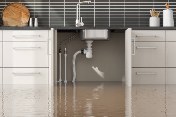 Best Flooded house restoration  in Suffield Depot, CT