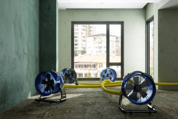 Best Water damage restoration near me  in Suffield Depot, CT